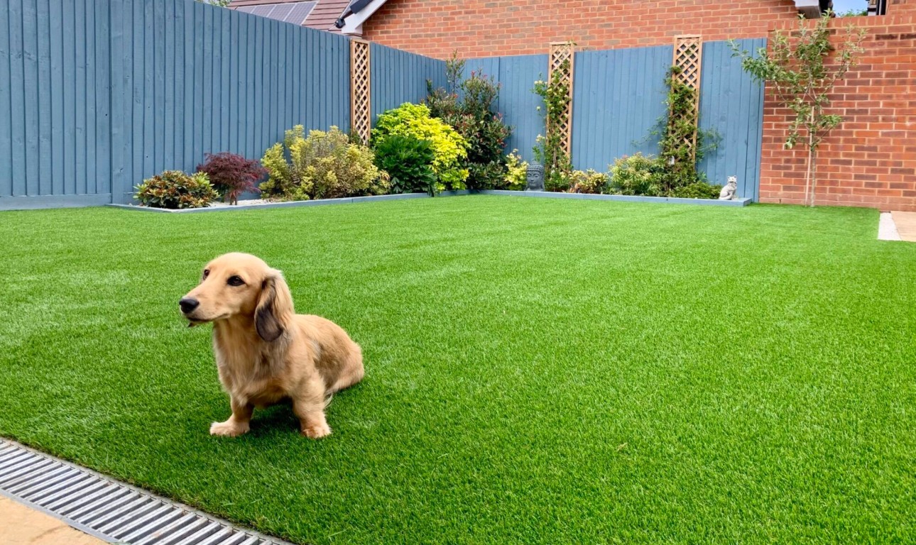 Mud-free artificial grass lawn perfect for dogs and pets in Hammond, IN